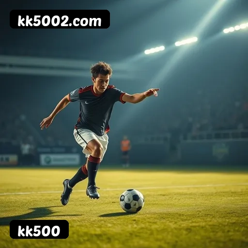 Níveis do programa VIP da kk500